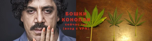 mix Вяземский