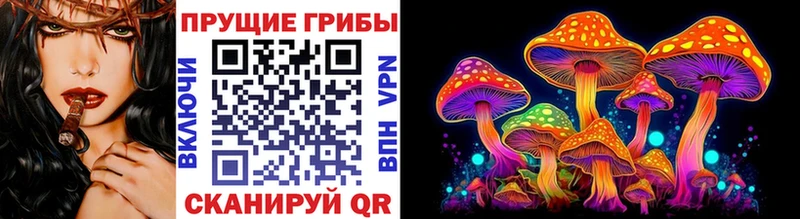 OMG   Домодедово  Галлюциногенные грибы GOLDEN TEACHER 