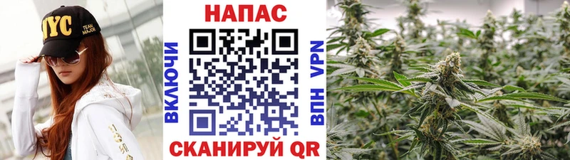 Бошки марихуана Amnesia  Домодедово 